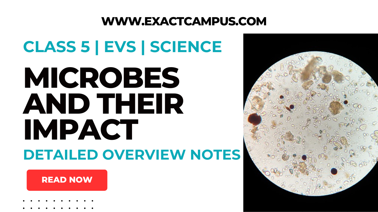 Read more about the article Understanding Microbes and Their Impact on Our Lives