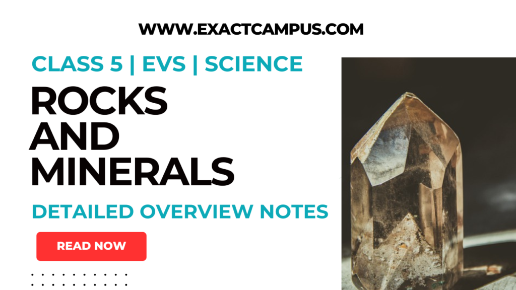 Factors Worksheets For Class 5 | Mathematics Worksheets - Exact Campus