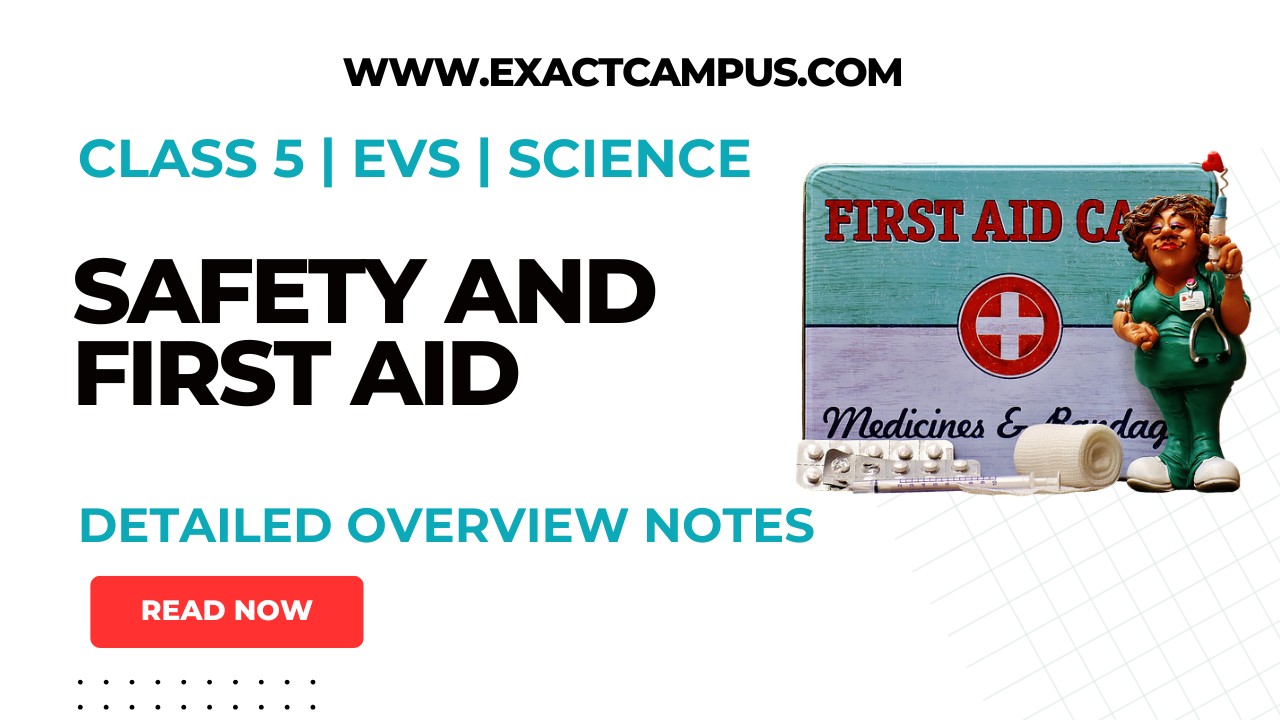 Read more about the article Understanding Safety and First Aid