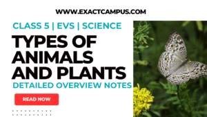 Read more about the article Types of Animals and Plants