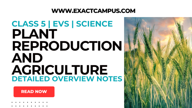 Plant Reproduction And Agriculture | Class 5 Science Chapter - Exact Campus