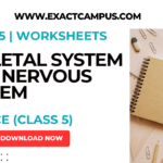 Nervous System and Skeletal System Worksheets for Class 5 Students | Science Worksheets